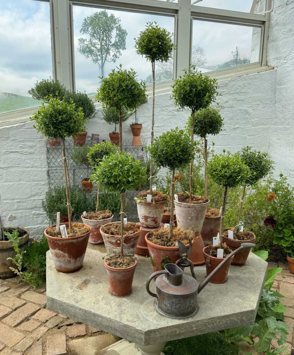 Photo Courtesy of The Garden Club of Virginia