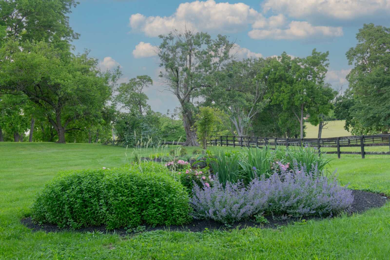 Photo Courtesy of The Garden Club of Virginia
