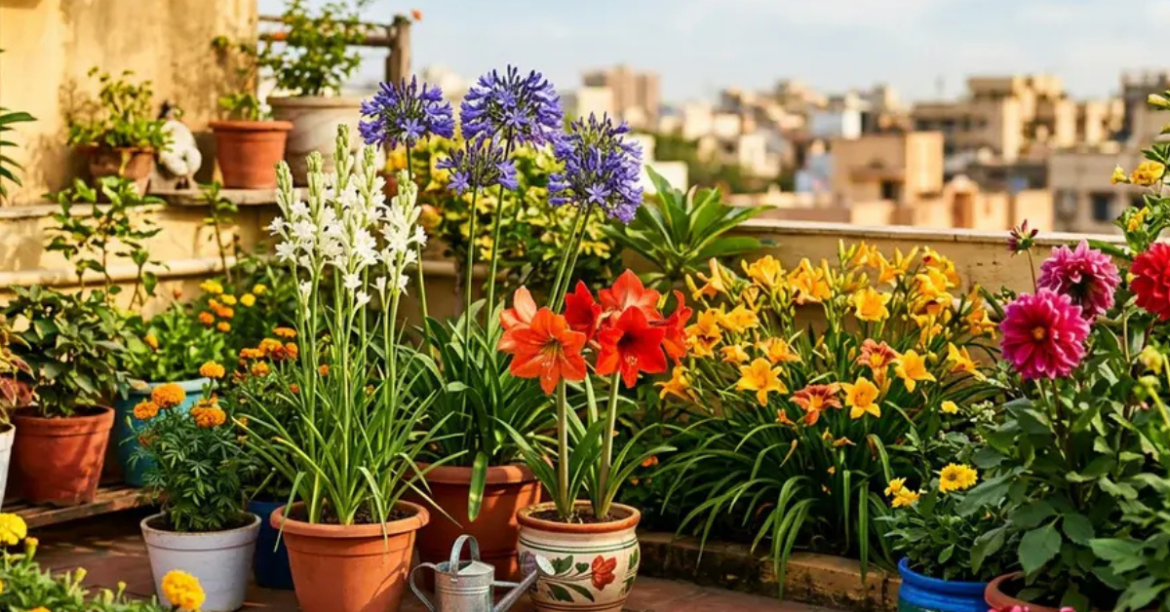 How to Protect Your Home Garden In The Summer Heat How to Protect Your Home Garden In The Summer Heat