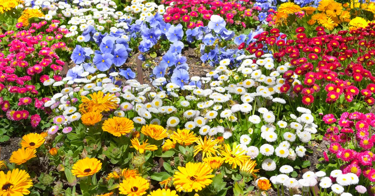 protect garden from heatwaves