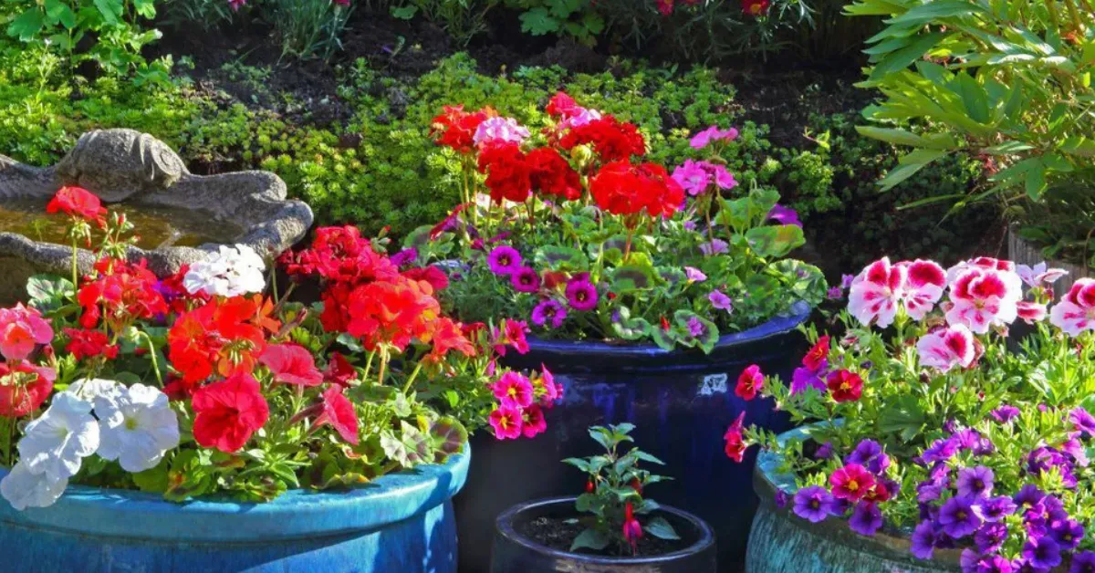 protect garden from heatwaves