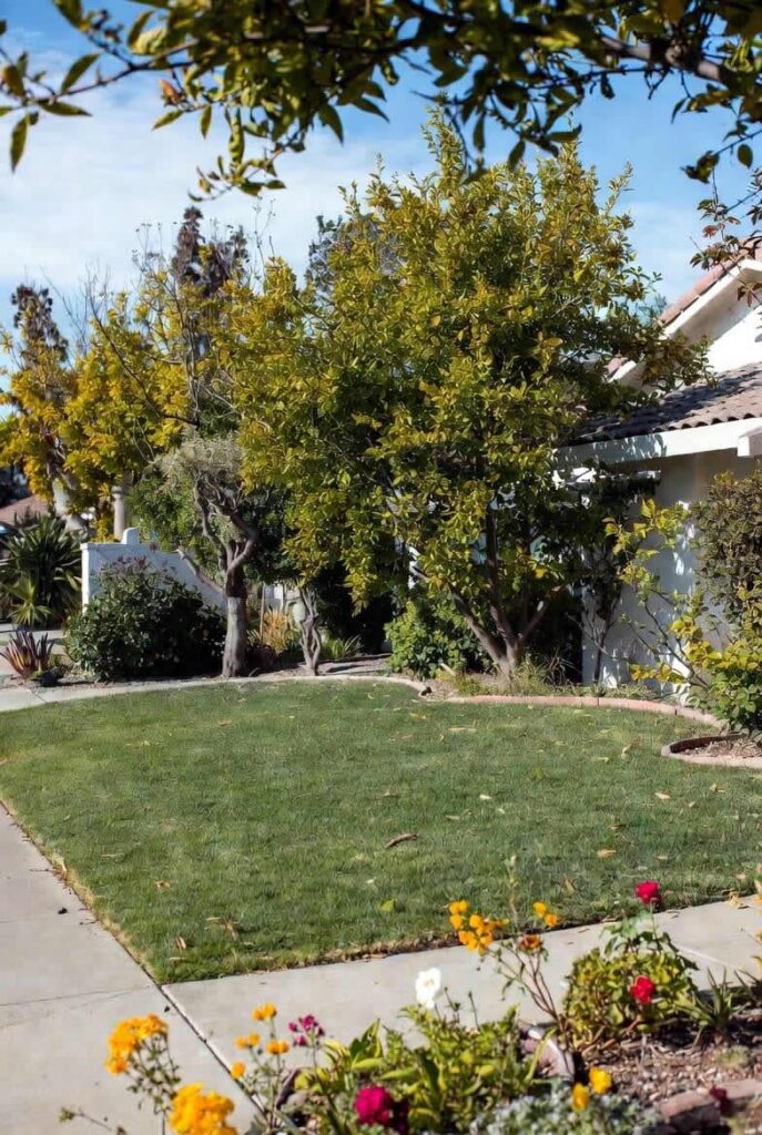 What kind of damage can a gopher do to my plants and lawn in Riverside or Temecula, CA?