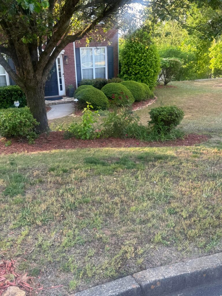 Need help with how to cover most of this