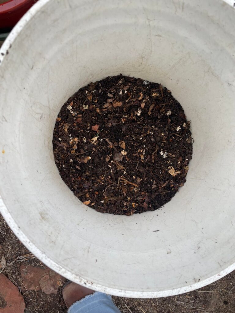 Rate my compost