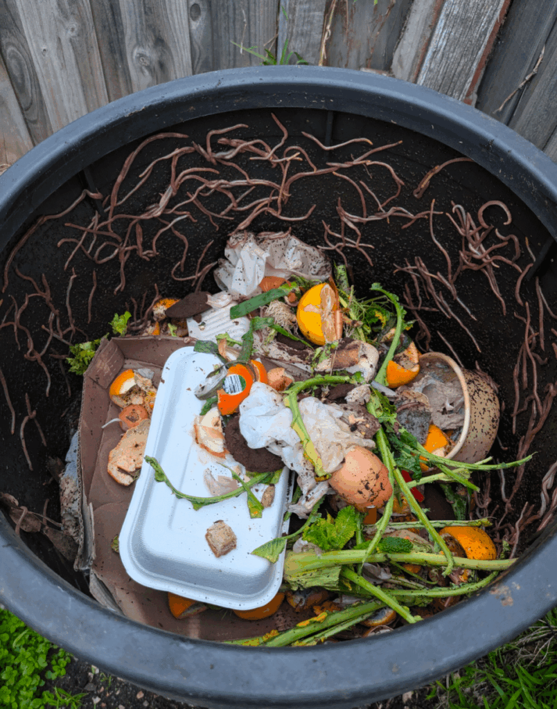 This was my peak composting days.