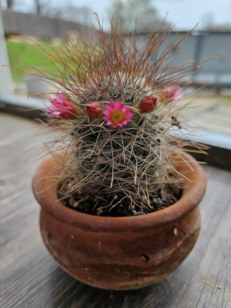 Happy mamm