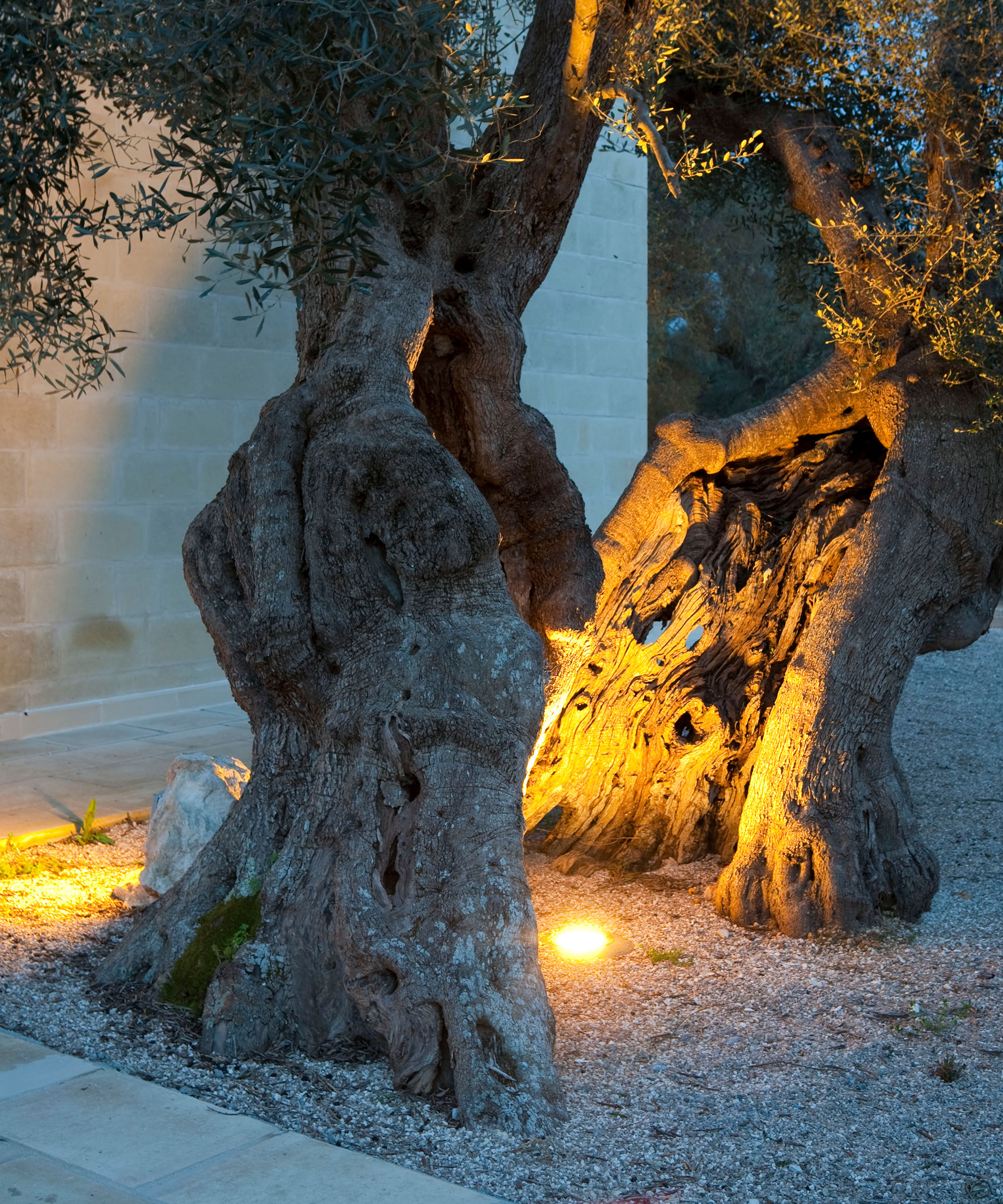 Garden lighting ideas
