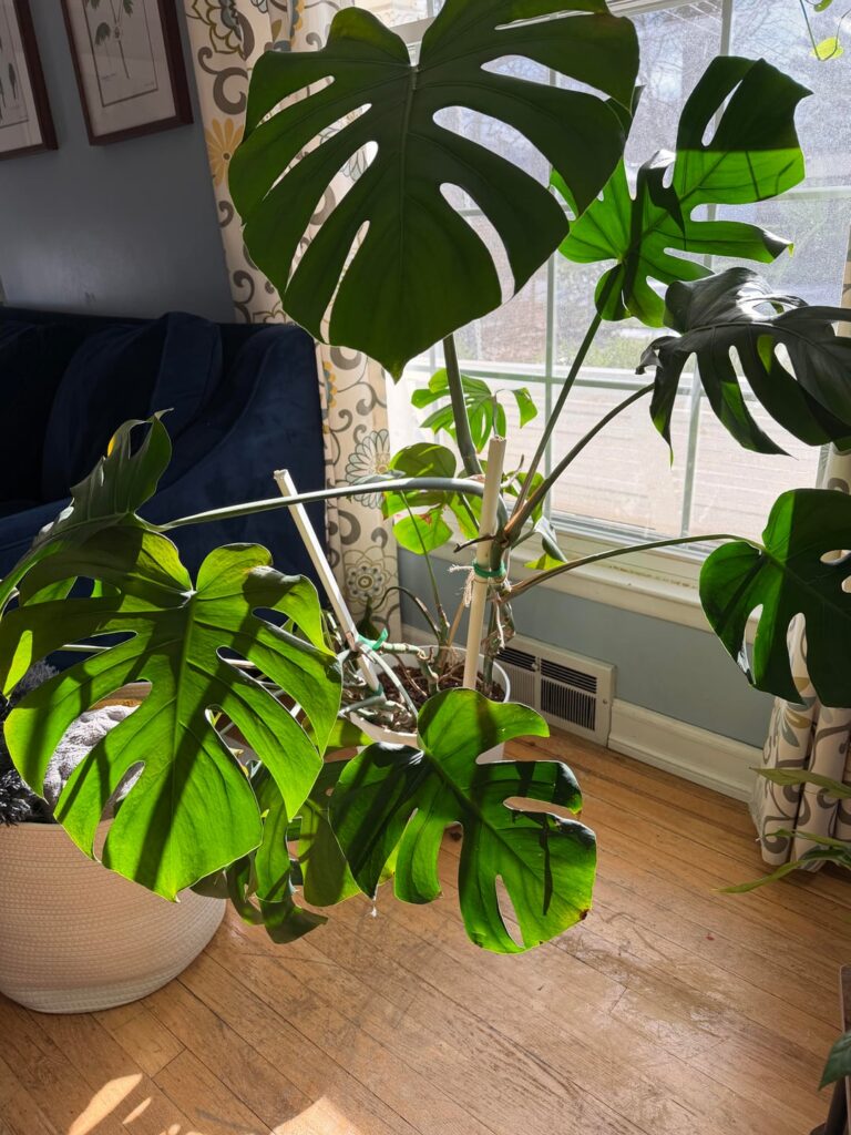 What am I doing wrong?