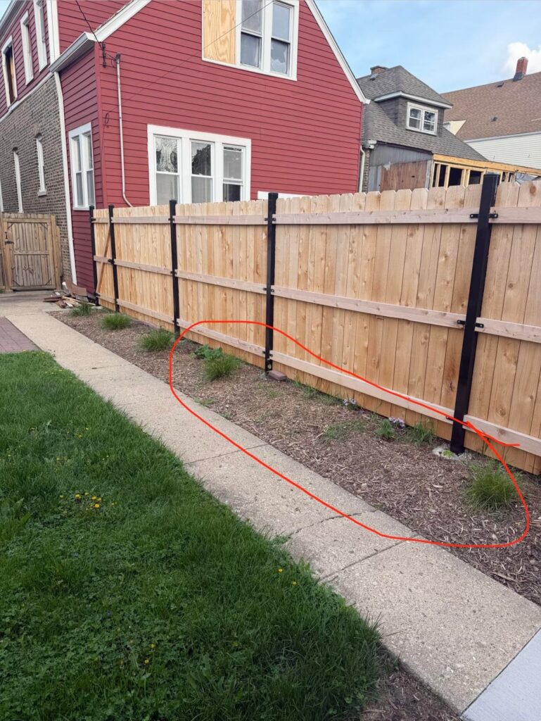 What what you personally plants here? 6a and lots of shade!