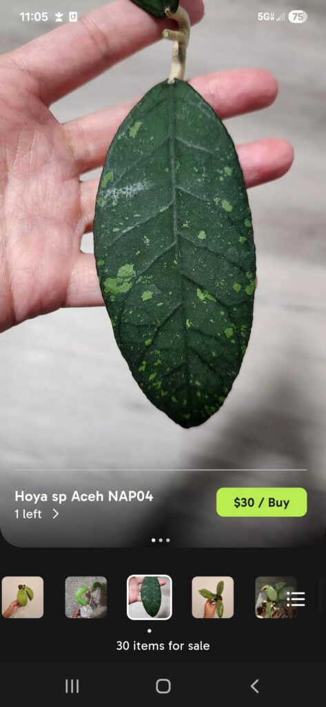 Should have got this when I had the chance