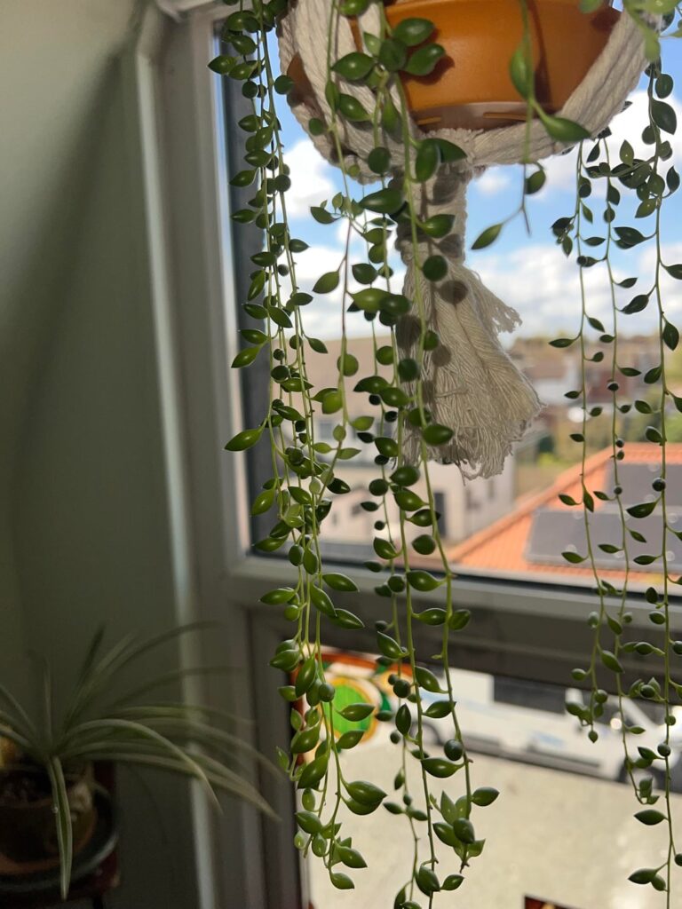 What is this?