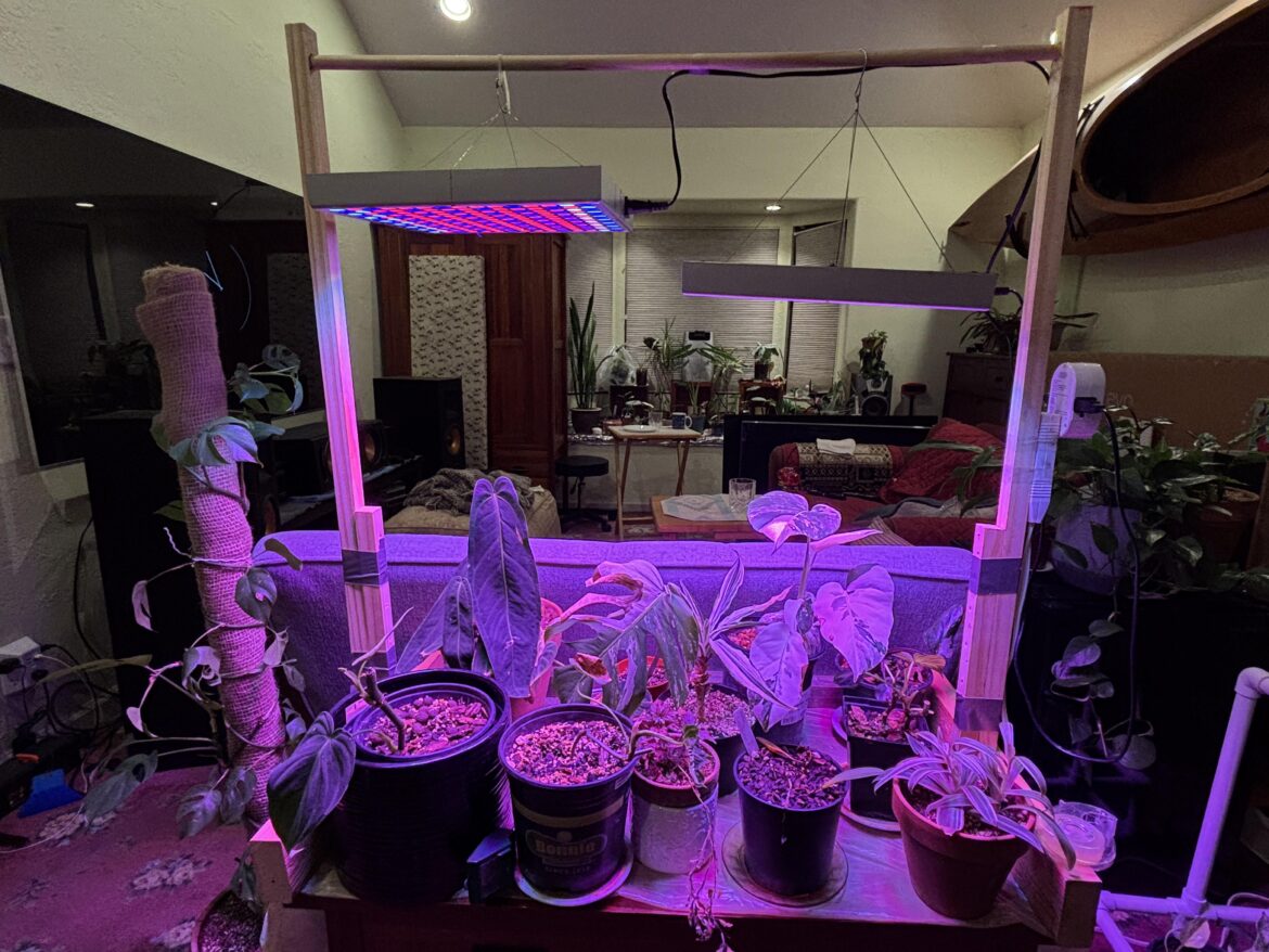 How much light?