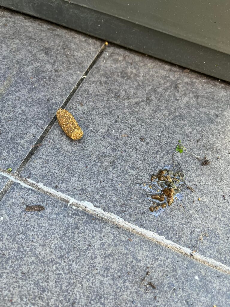 What is this?
