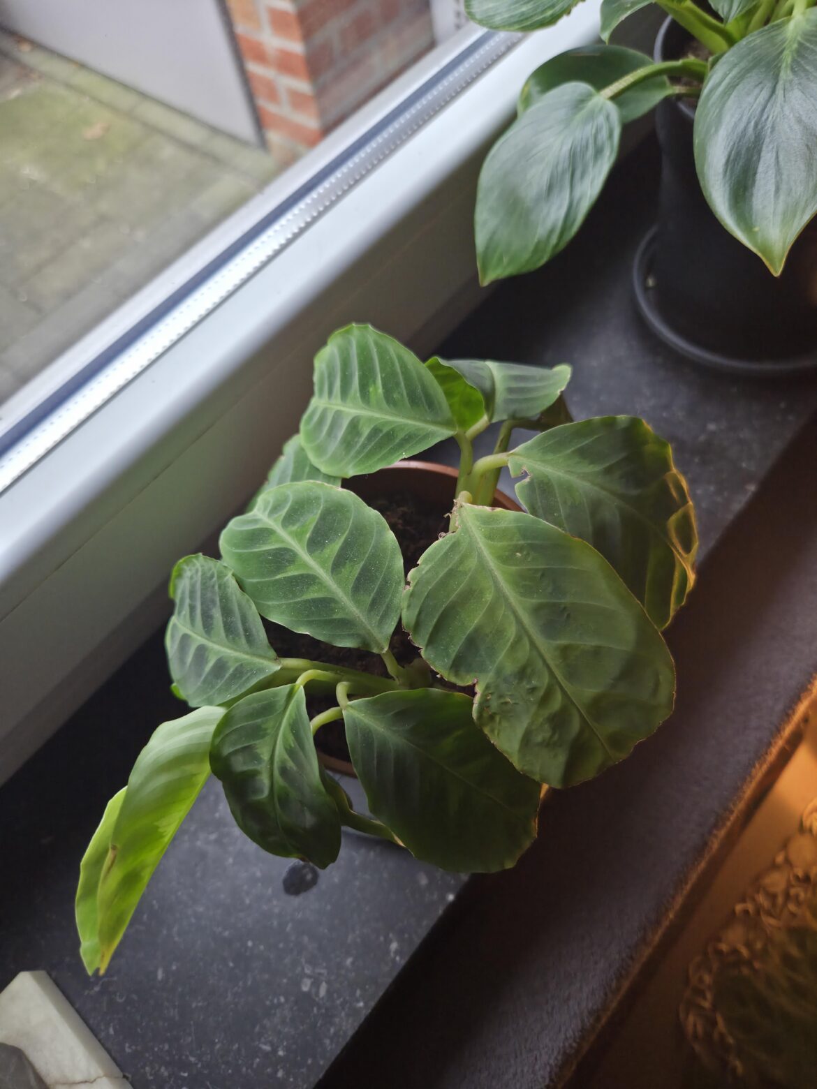 My baby is growing