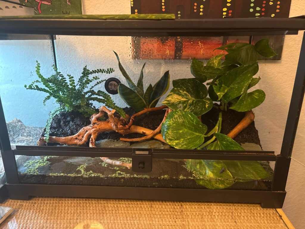 Looking for advice