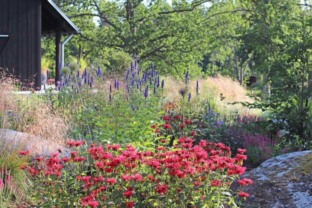 3 Tips for a Scandinavian Garden Design — From a Designer a field with wildflowers and lavender in Norway