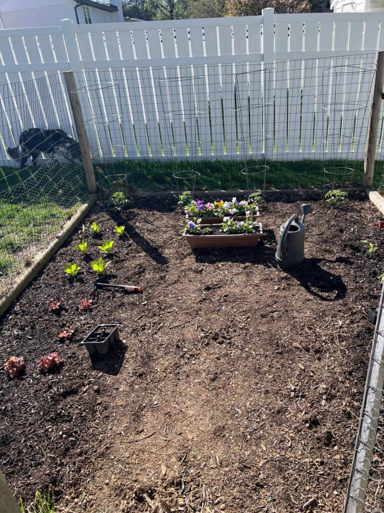 I love my tiny garden