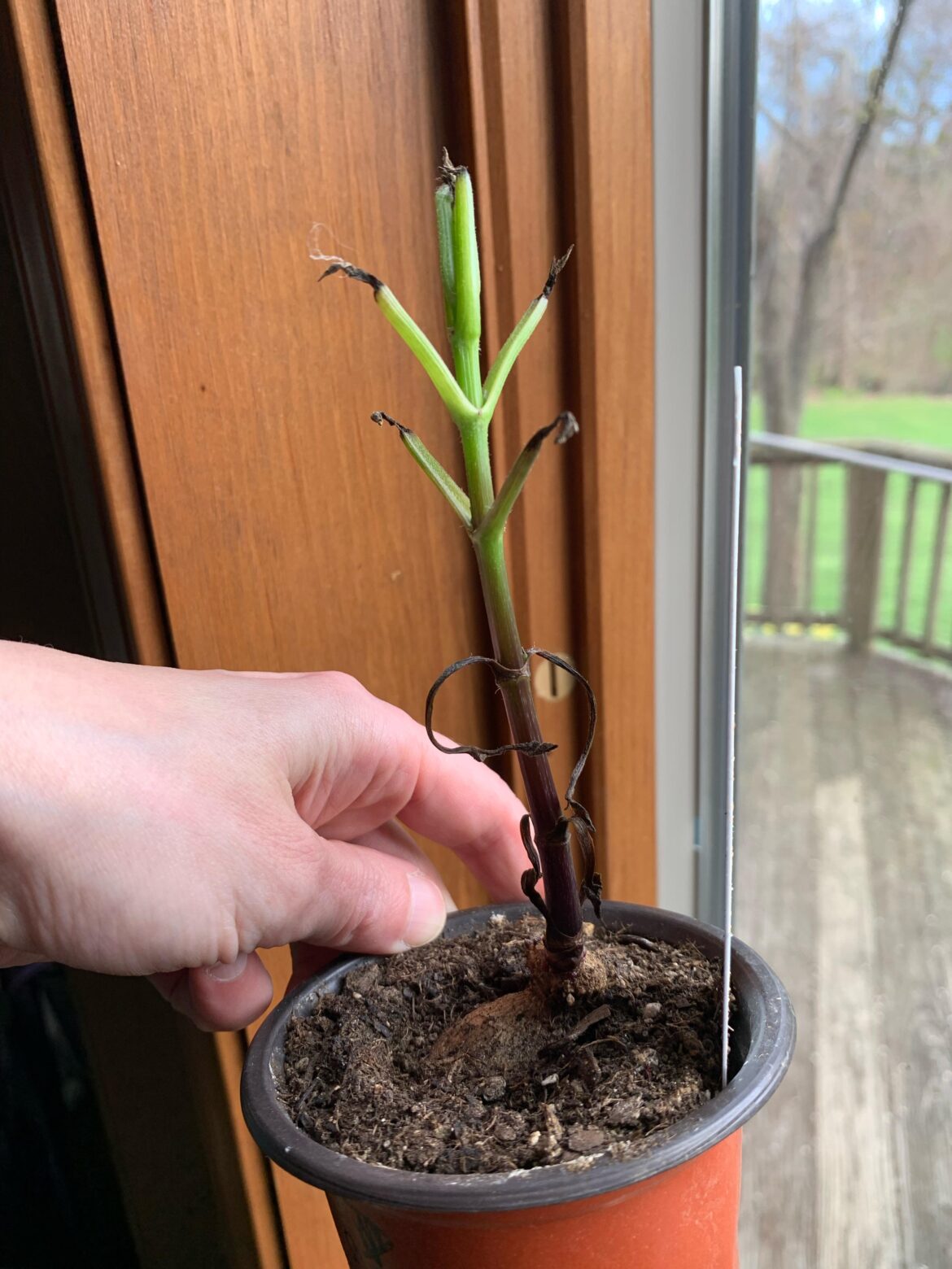 What am I doing wrong?