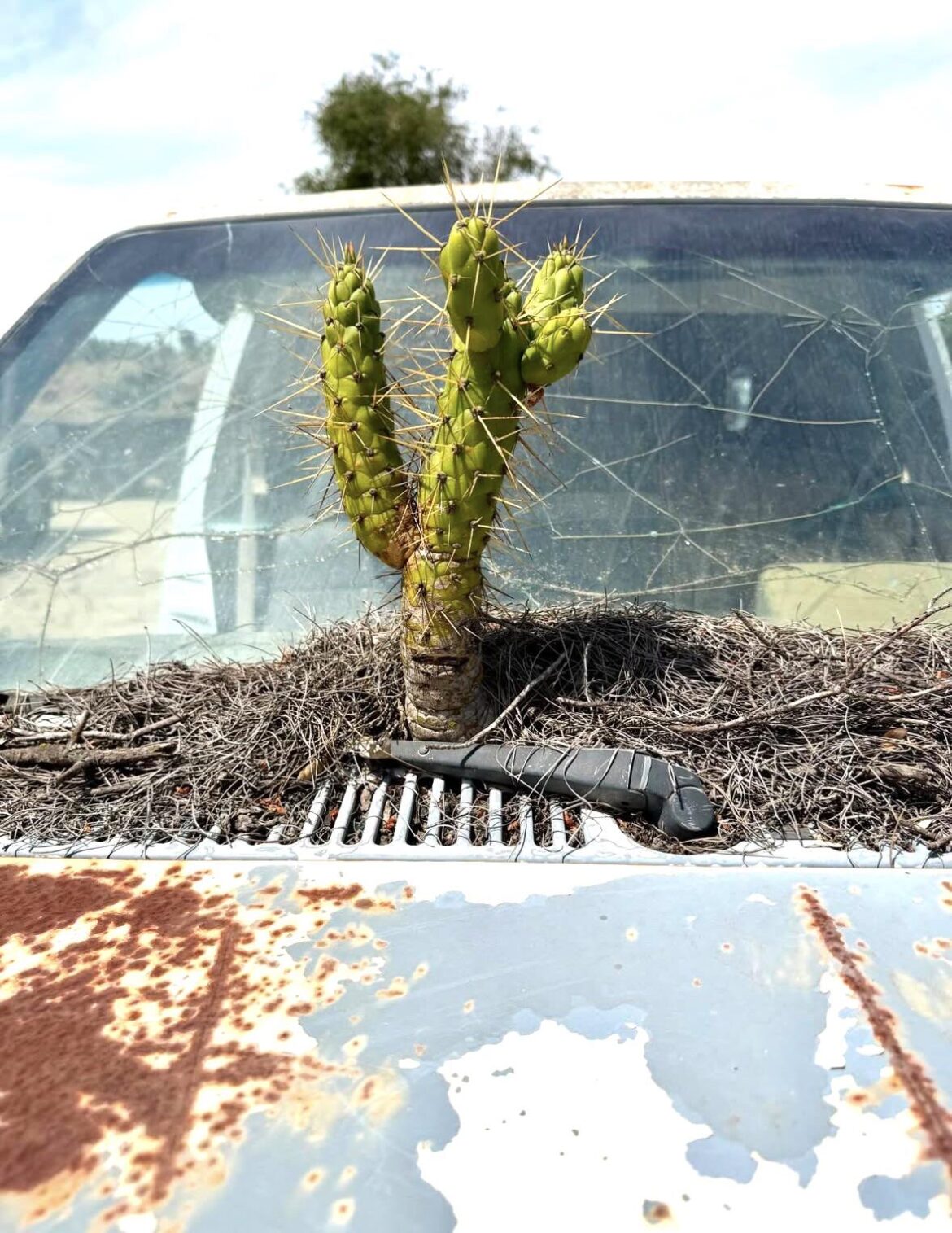 Life, uh, finds a way