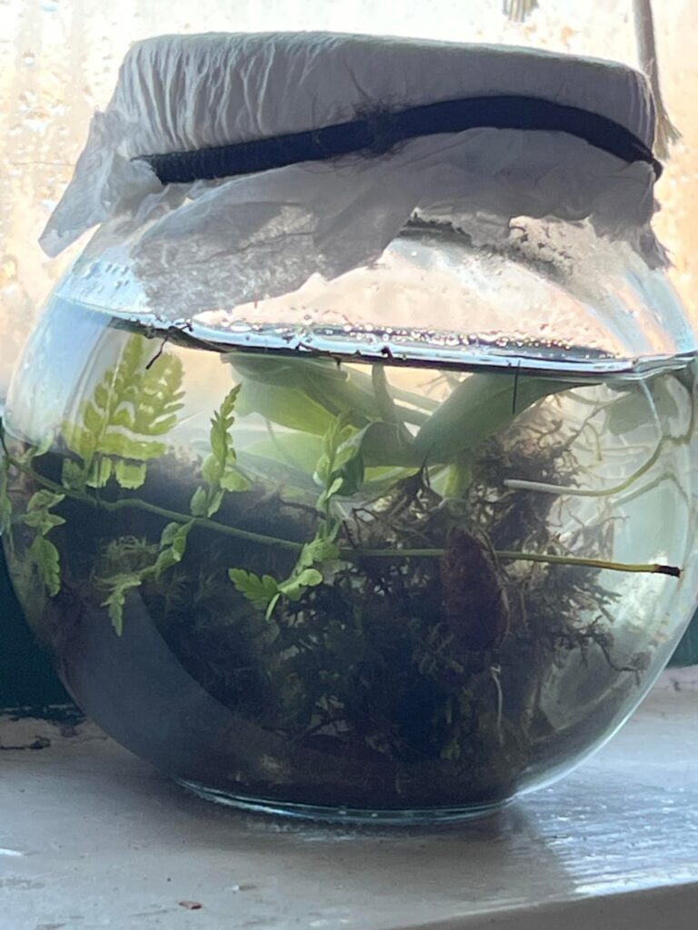 Is this a decent first time eco jar? Is this a decent first time eco jar?