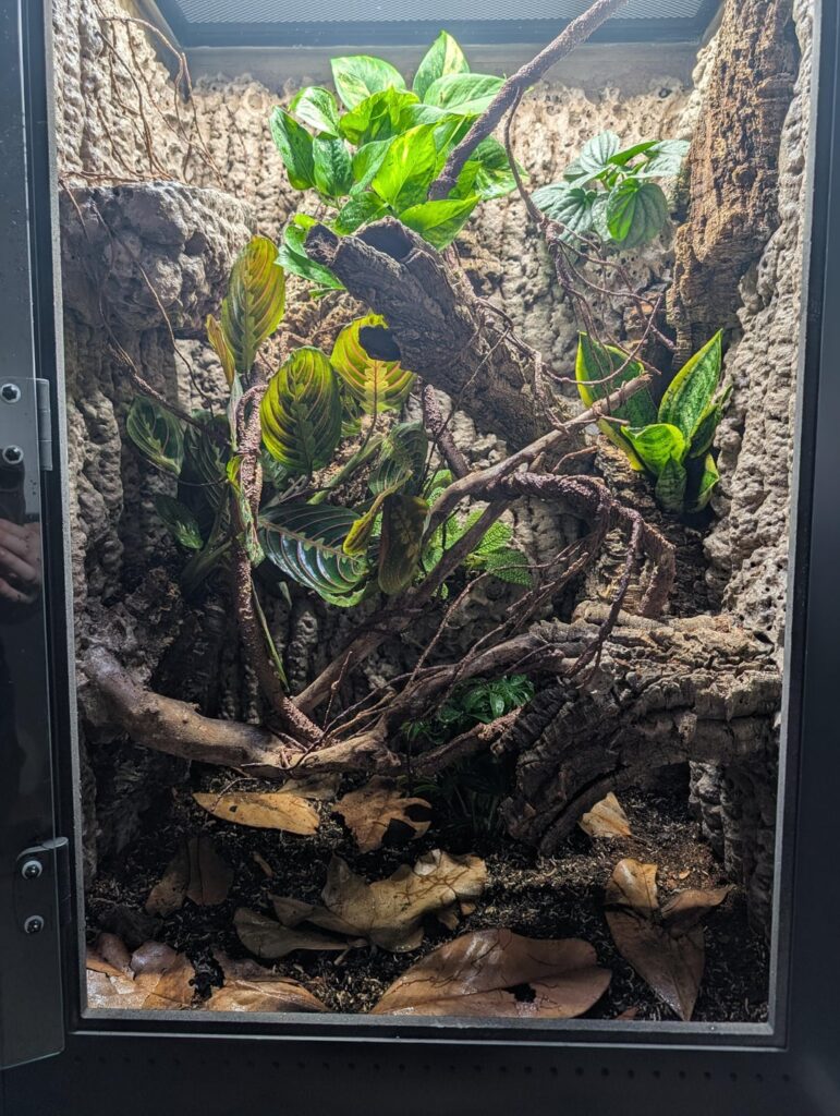 Progression of my Newest Build