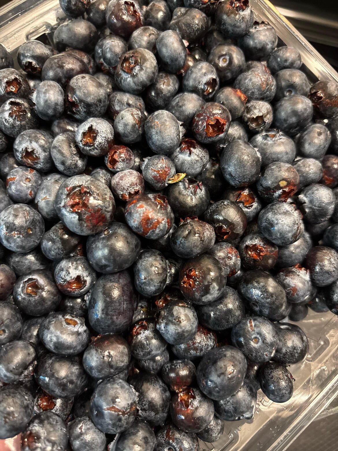 What’s wrong with these berries?? What’s wrong with these berries??