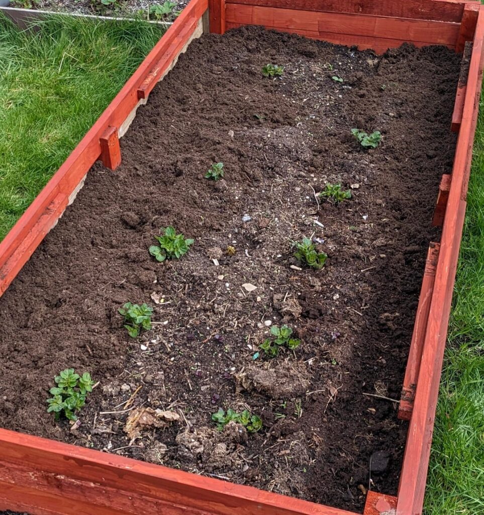 Growing and sowing
