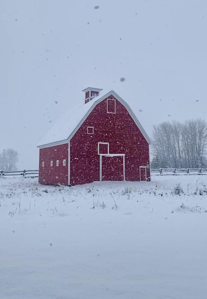 Snowy morning on the farm