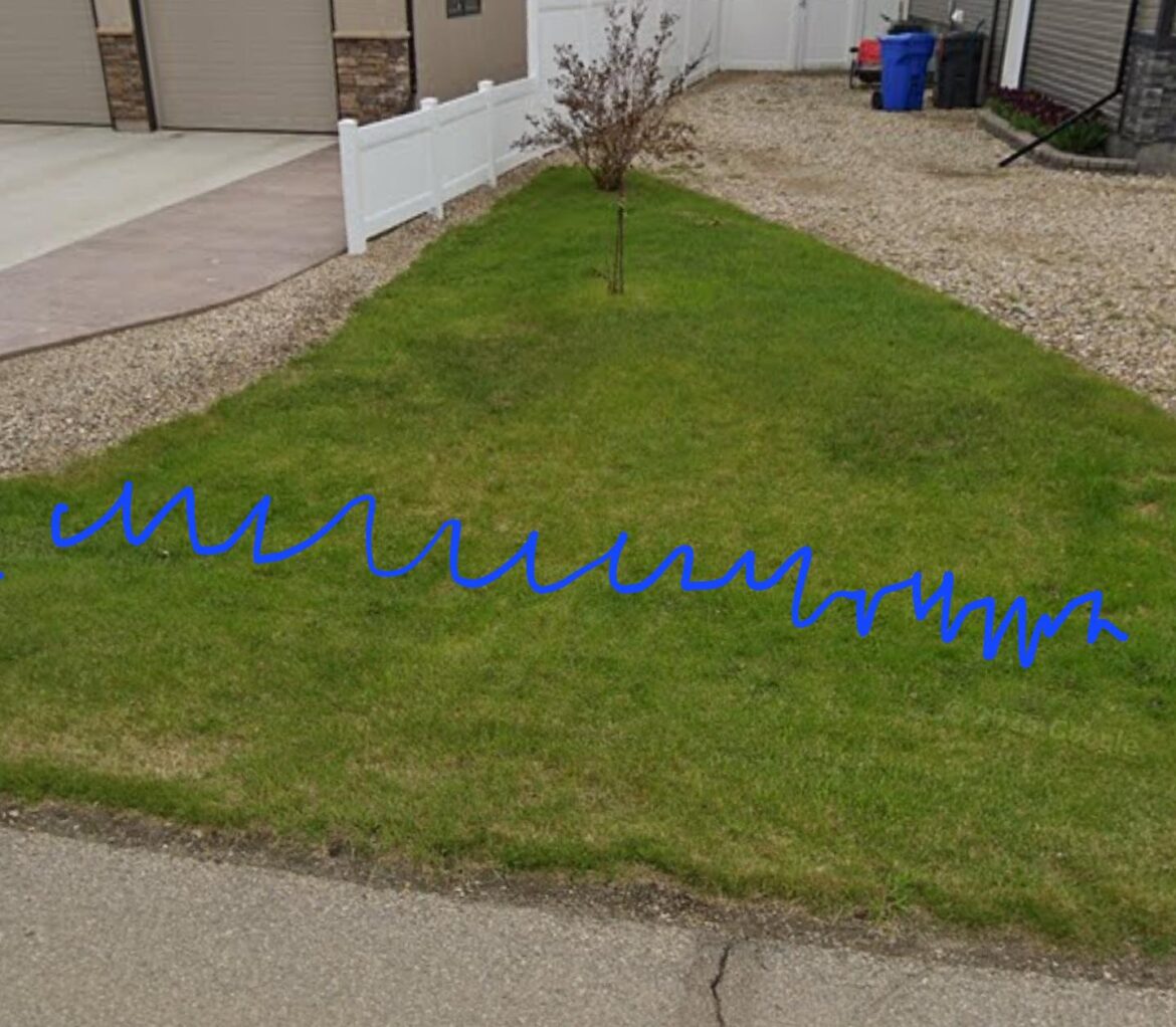 Suggestions for this little piece of grass? Suggestions for this little piece of grass?
