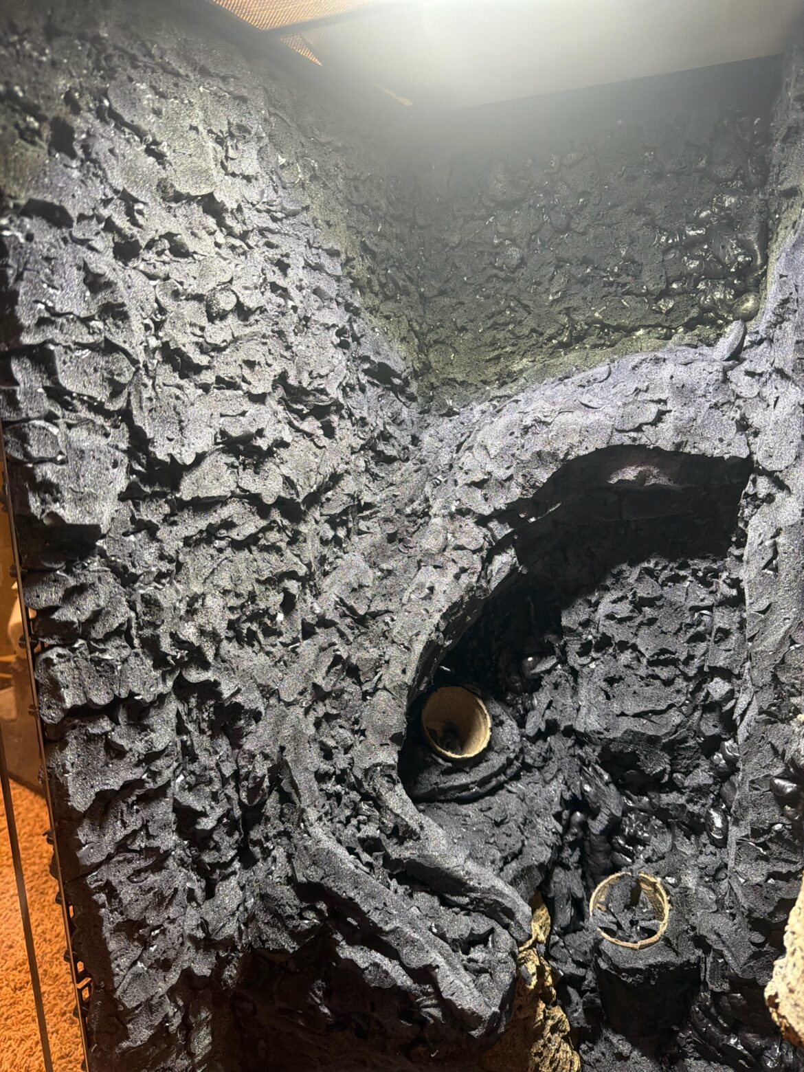 Paludarium Help