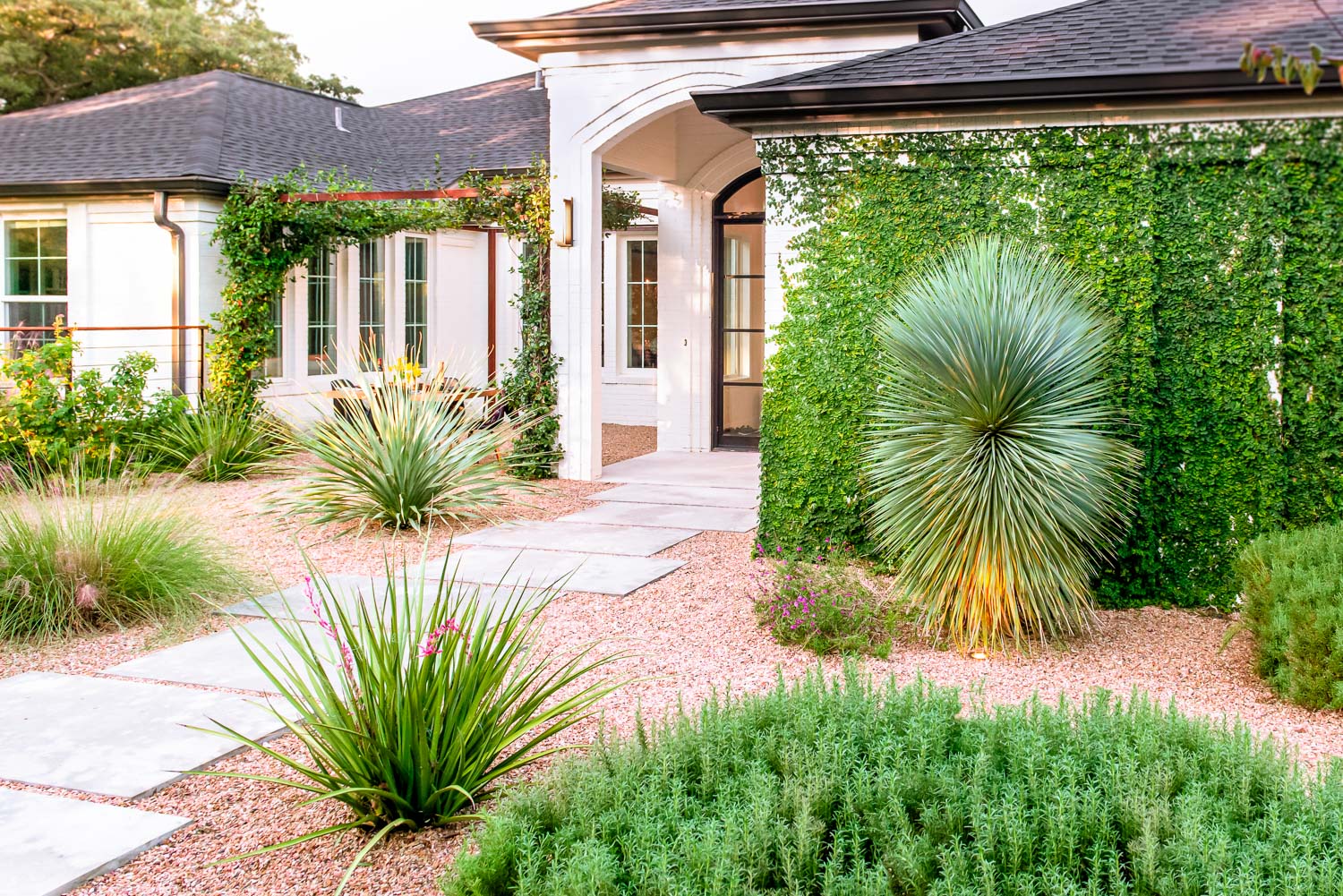 Red has yucca in garden by Eden Garden Design