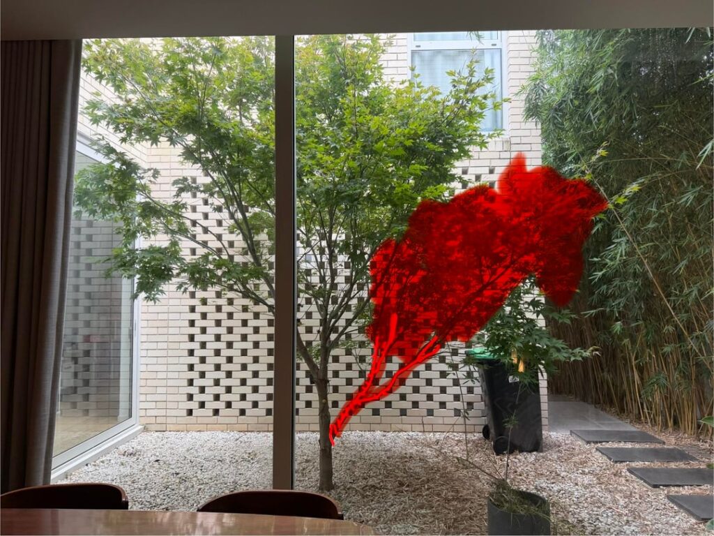 Can I trim this Japanese Maple? Can I trim this Japanese Maple?