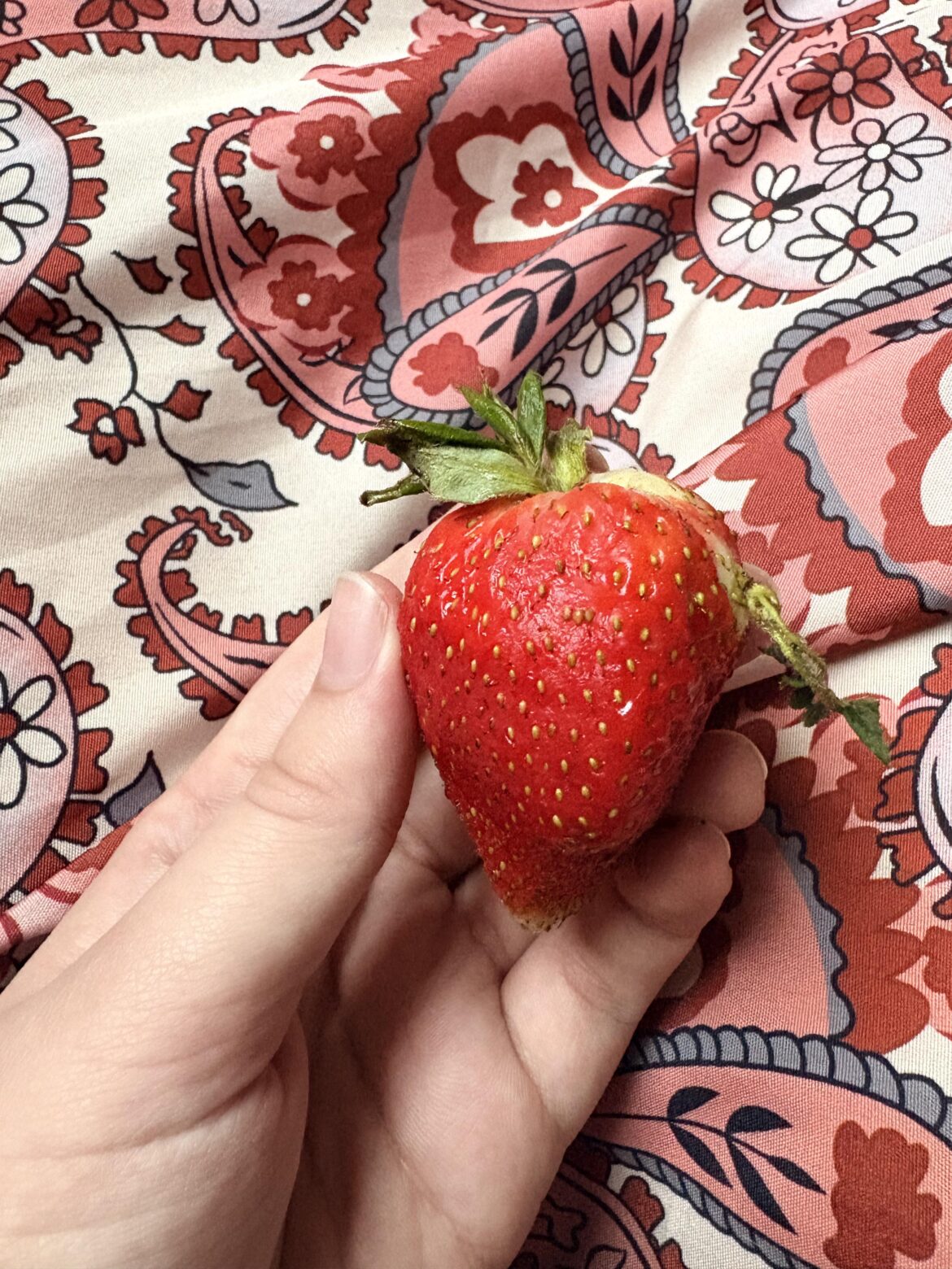 What is going on with this strawberry? Help.