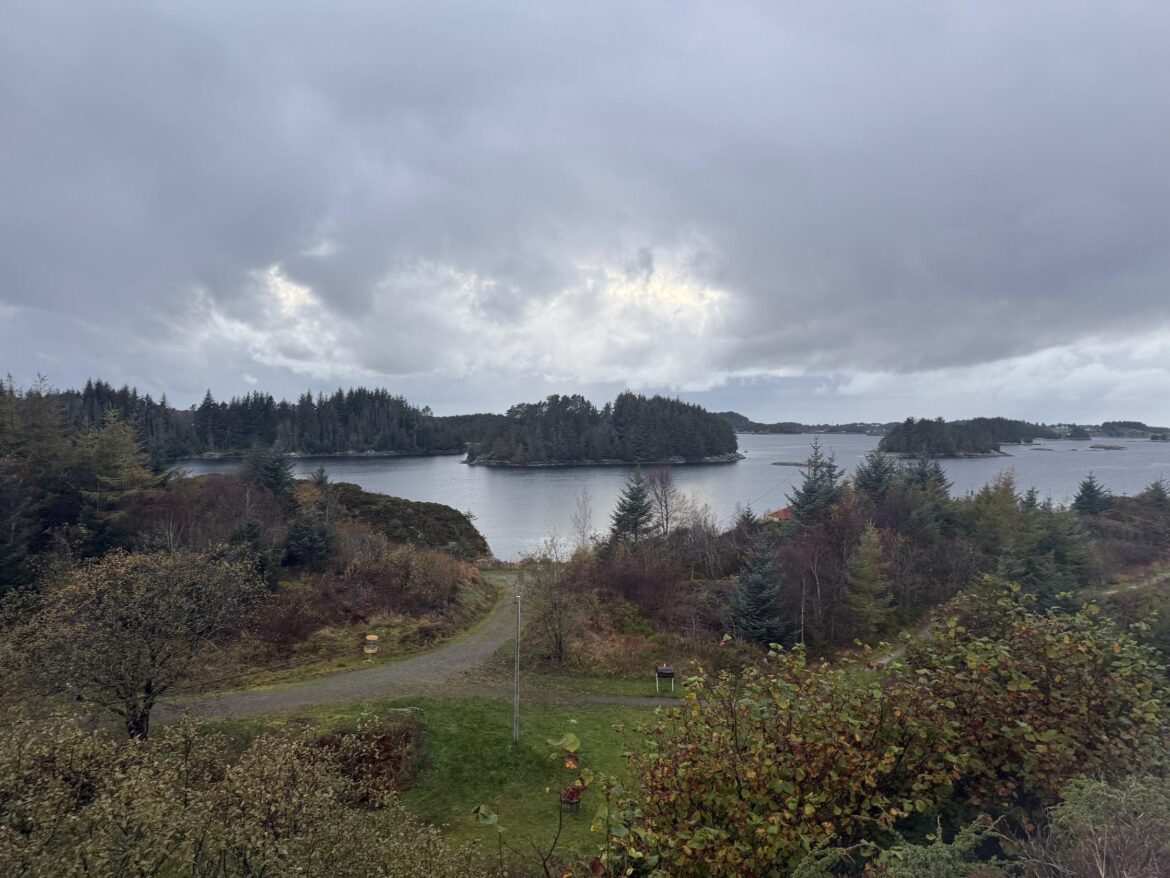 Finally made the move… this is the view from our new place