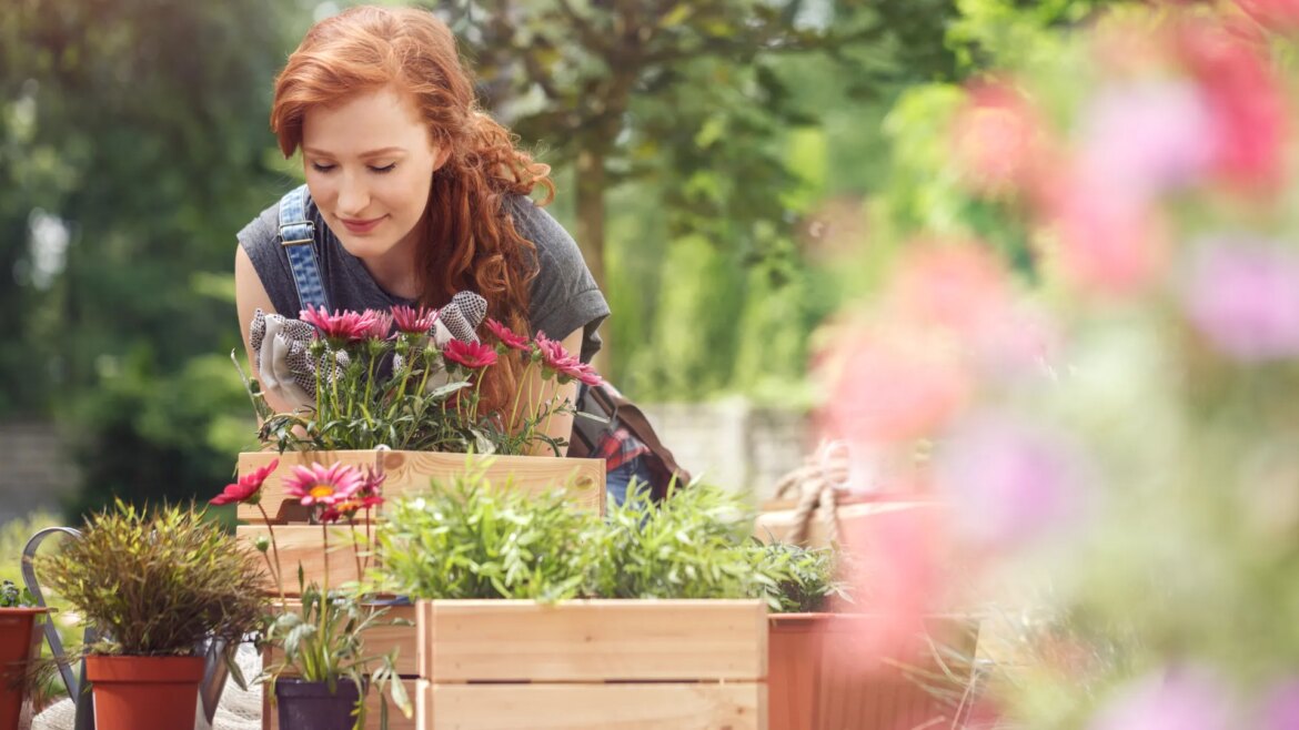 Walmart quietly discounts $138 garden bed kit with easy setup Walmart quietly discounts $138 garden bed kit with easy setup