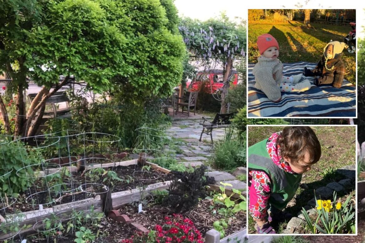 Elite Minds Montessori fighting for access to Red Hook garden Elite Minds Montessori fighting for access to Red Hook garden