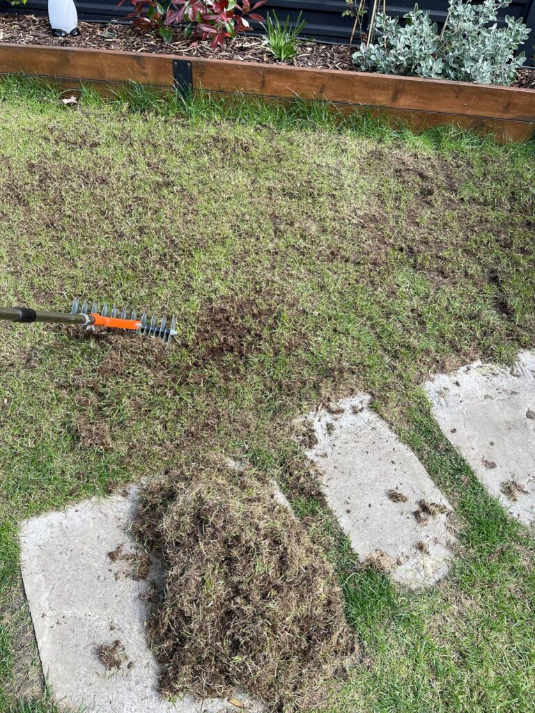 Scarifying: is this right?