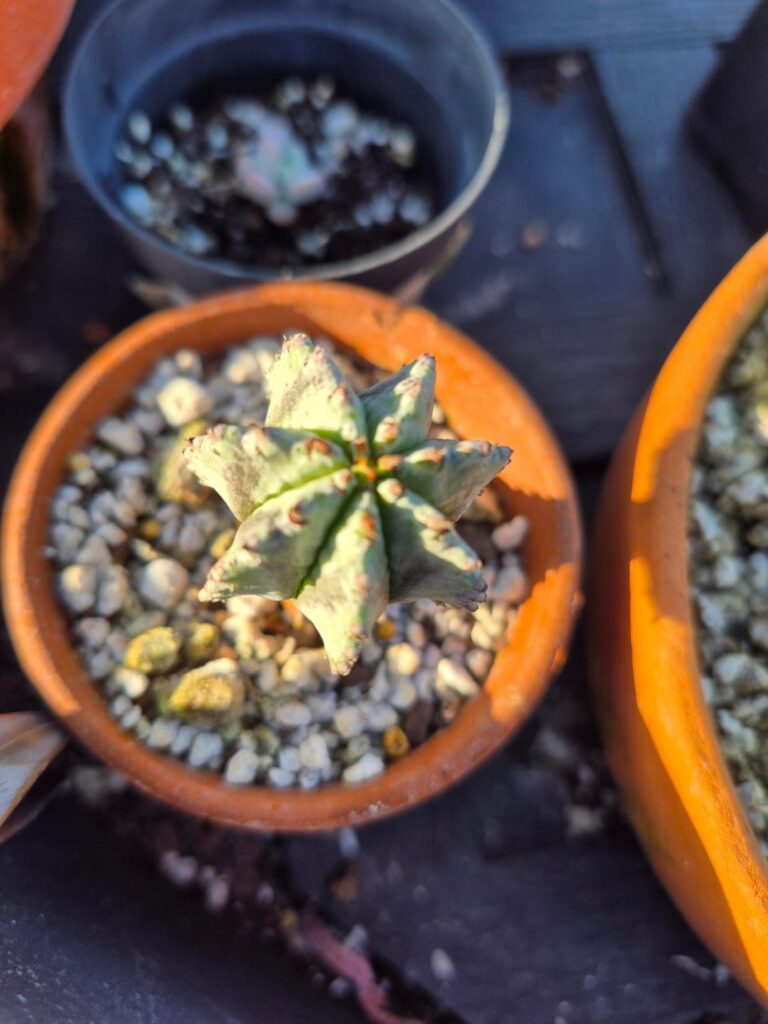 Thank you for your help.