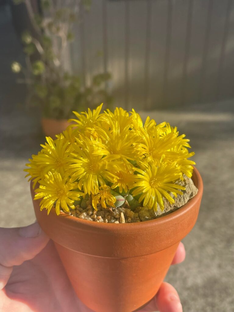 Just came back from a holiday 🤩