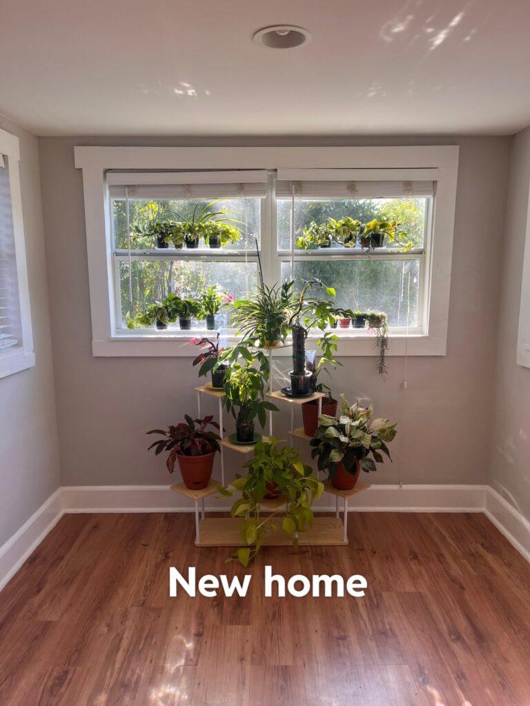 New home vs Old Home