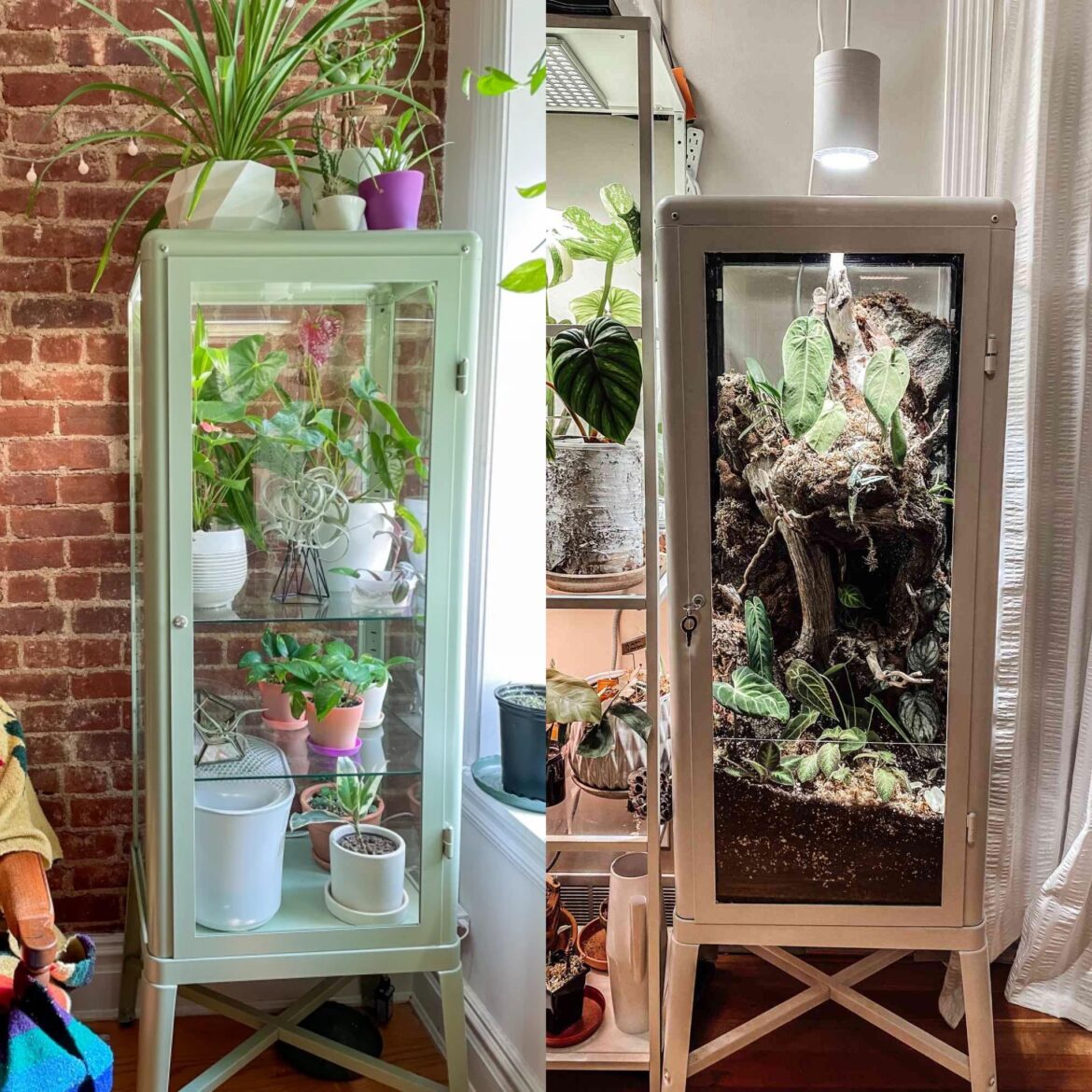 Between a greenhouse cabinet and a terrarium cabinet which do you prefer and why?