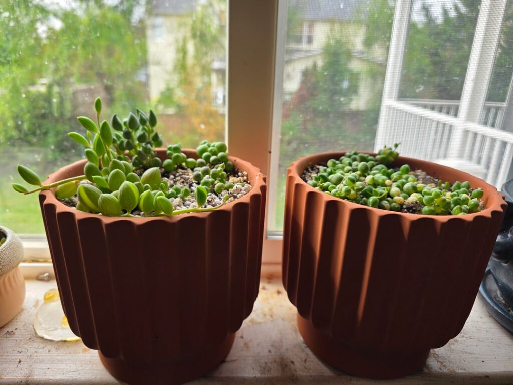 Are these pots too deep?