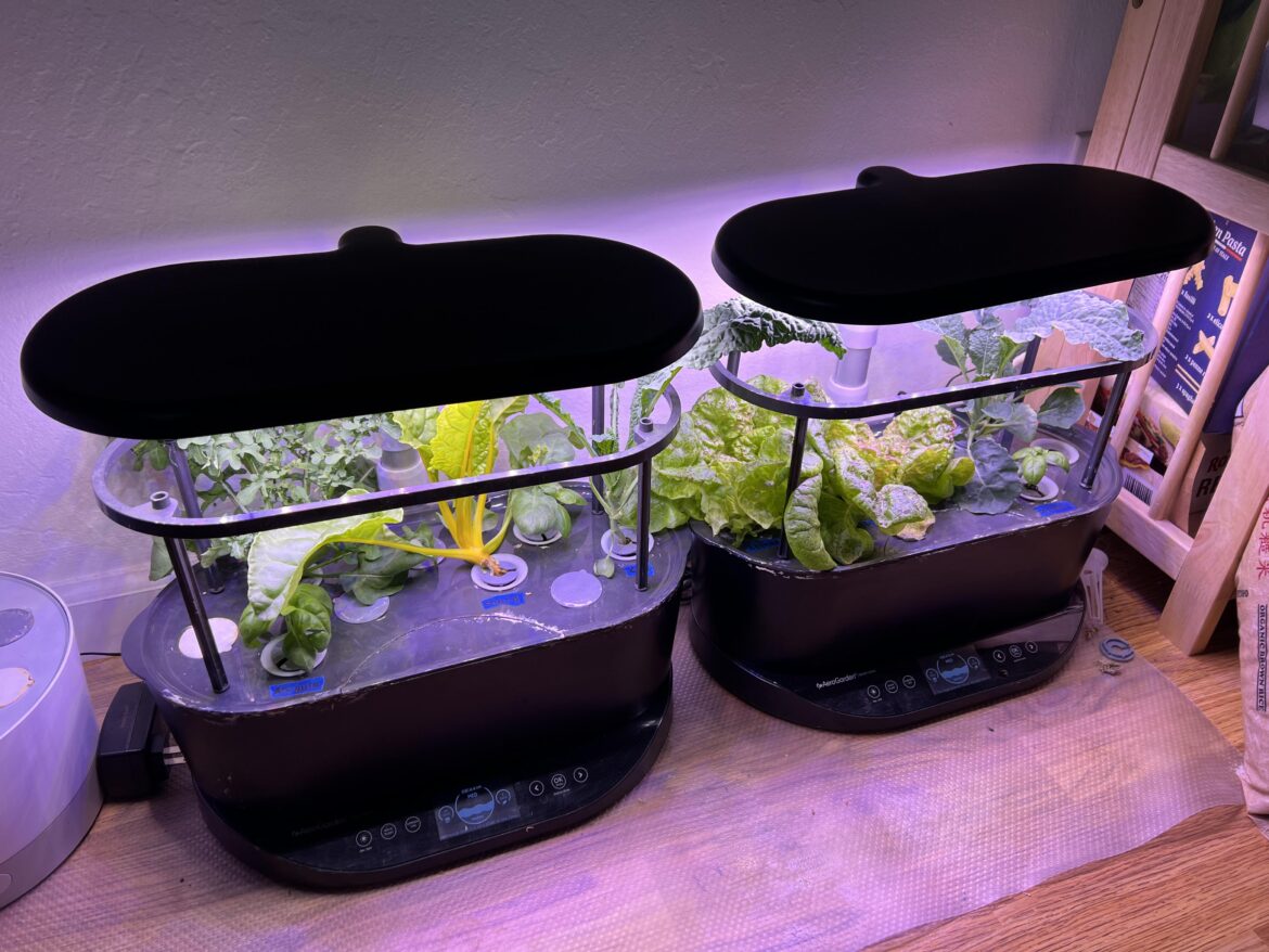 Help my Masters Thesis! 1 minute hydroponics survey (and my plants)