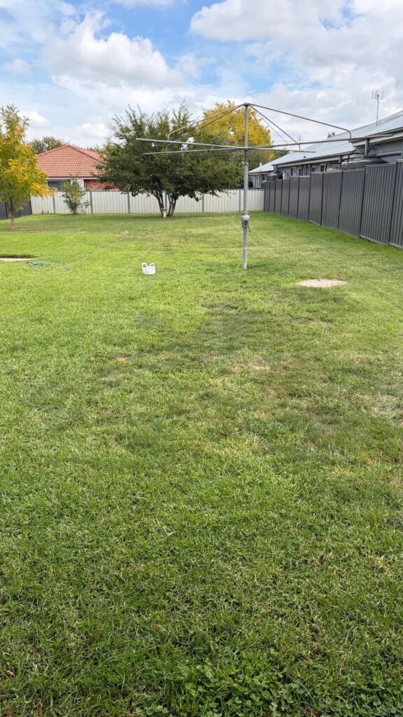 Help needed with lawn. Help needed with lawn.