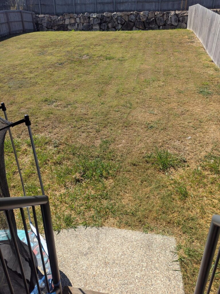 Pet safe lawn weed help please