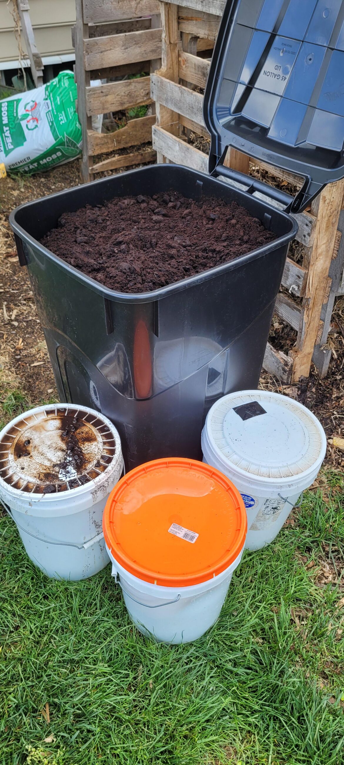 Coffee ground update from yesterday.