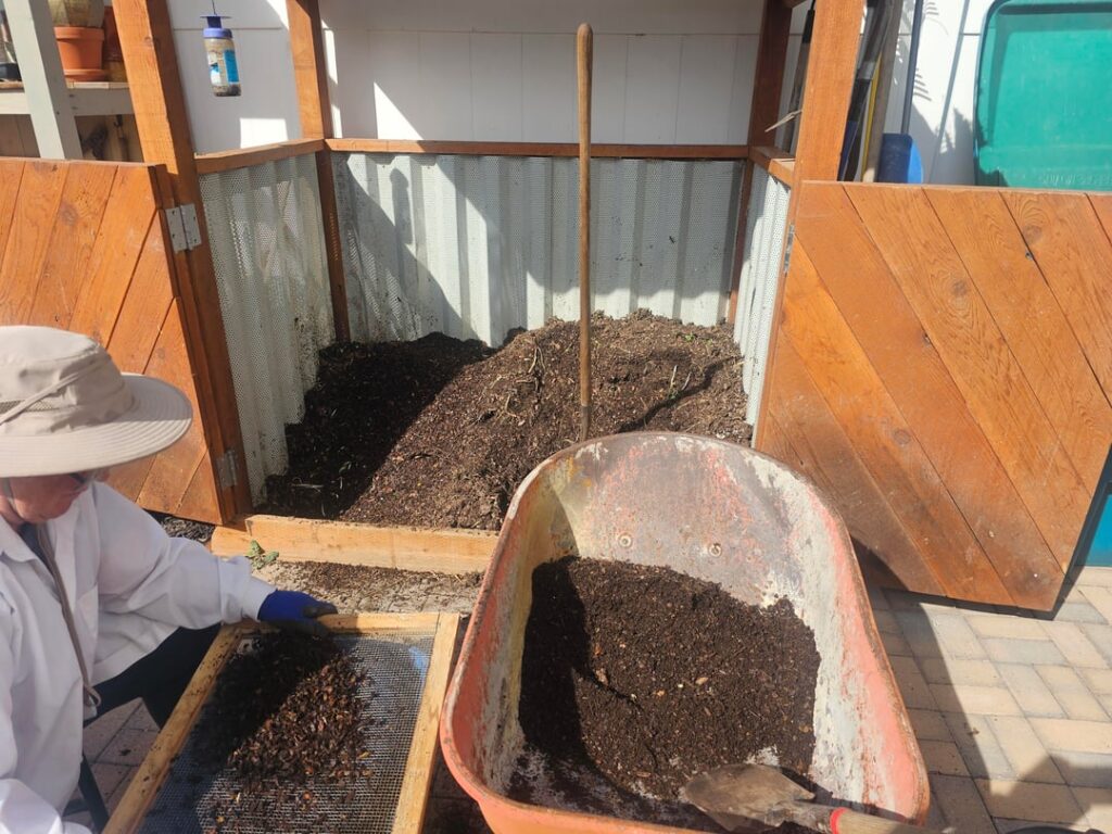 Harvested some black gold