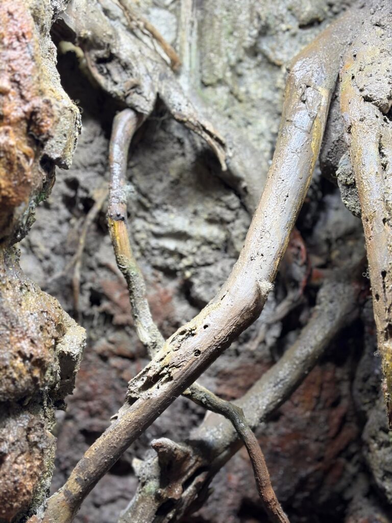 Vivarium