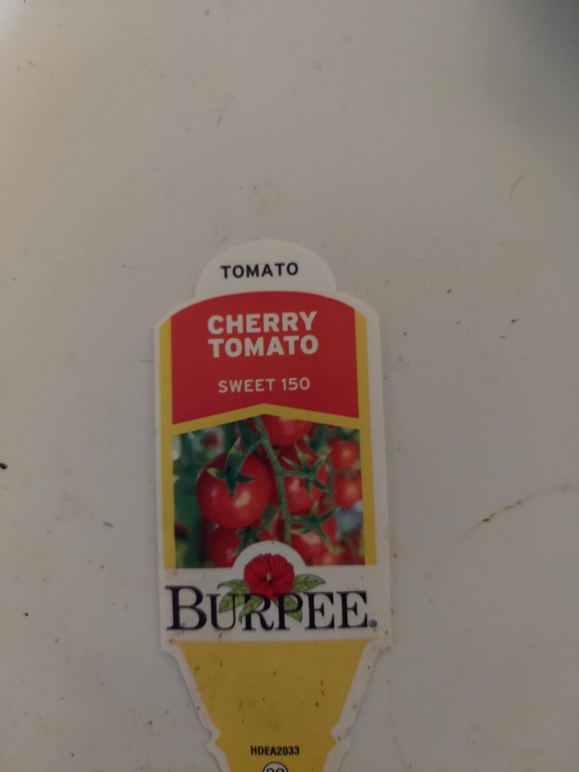 Anyone growing g this variety?