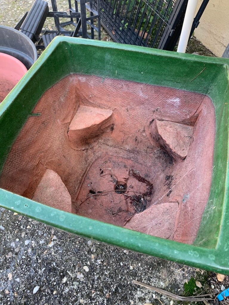 What’s the intent of this pot design and what would go hardest in it (NE VIC)